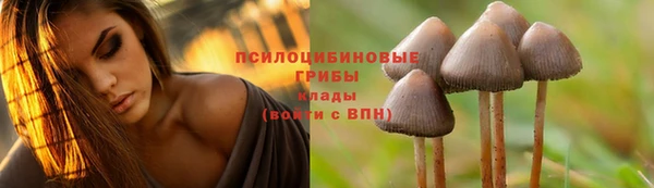 винт Белоозёрский