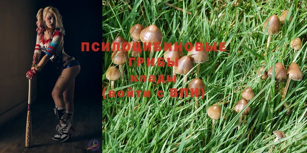 винт Белоозёрский