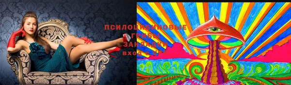 прущая мука Богородицк